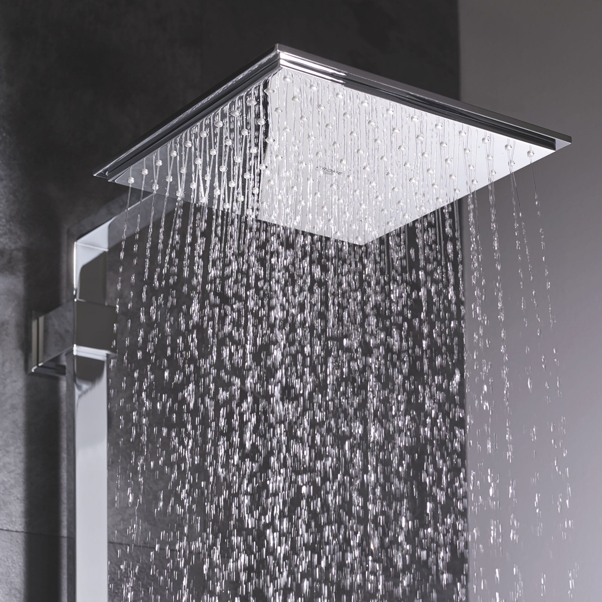 Stick Shower Head - 1 Spray, 9.5 L/min (2.5 gpm)