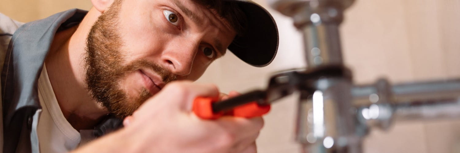Professional
