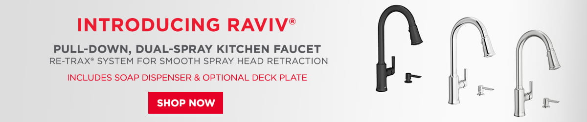 Raviv Pull-Down Kitchen Faucet