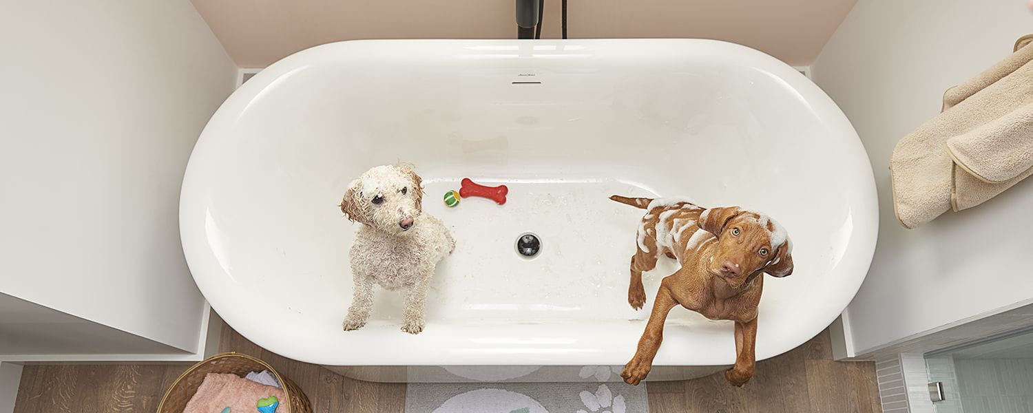 bathtubs with dogs