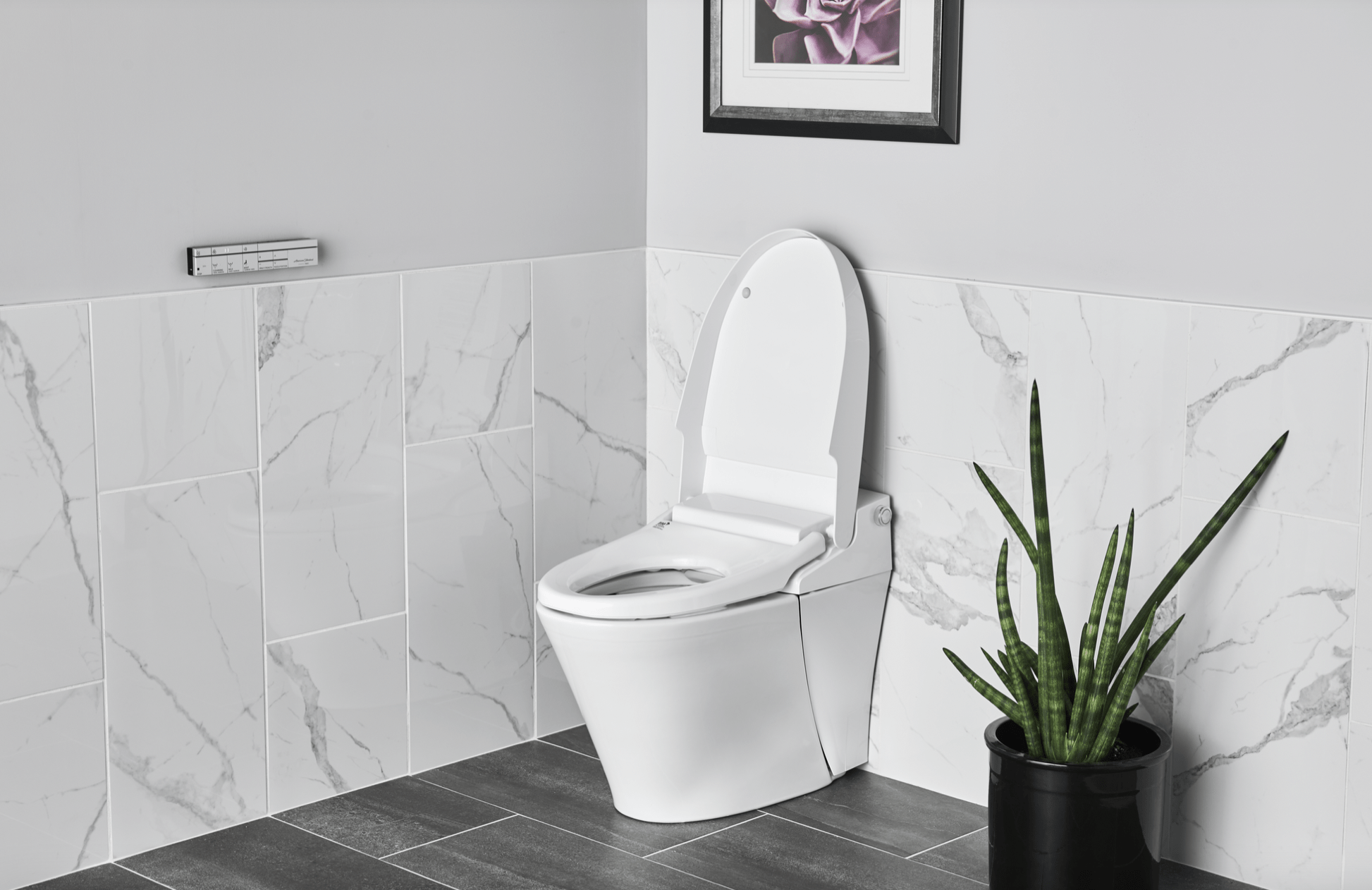 Advanced Clean 100 SpaLet Bidet toilet