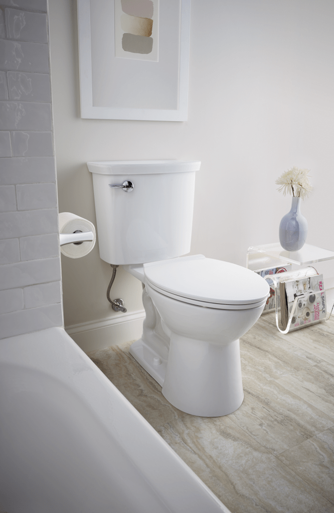 Step 2: Consider a Toilet that can Help Save Water
