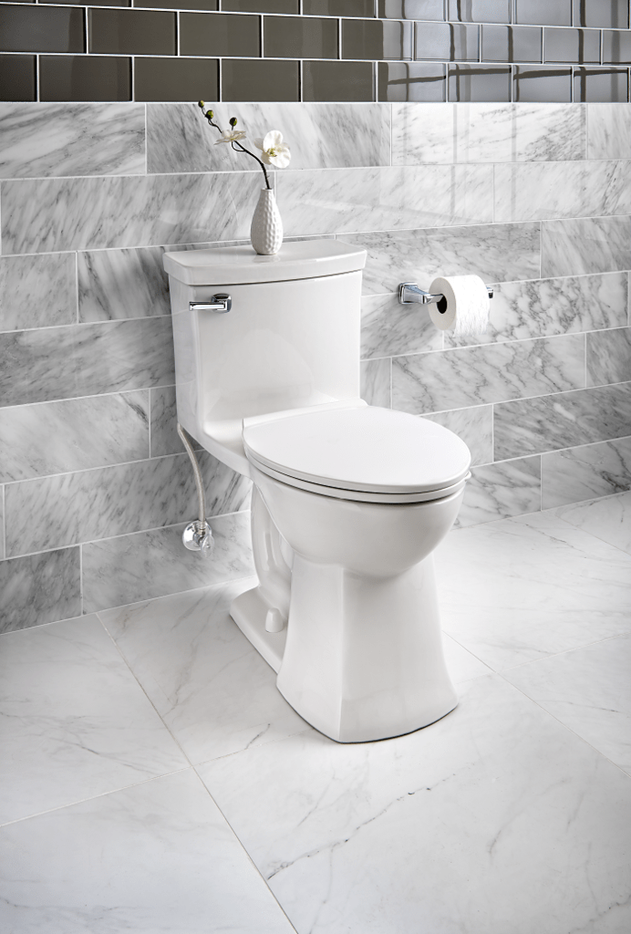 Étape 7 : assortissez les toilettes à votre style de conception de salle de bain - Transitionnel