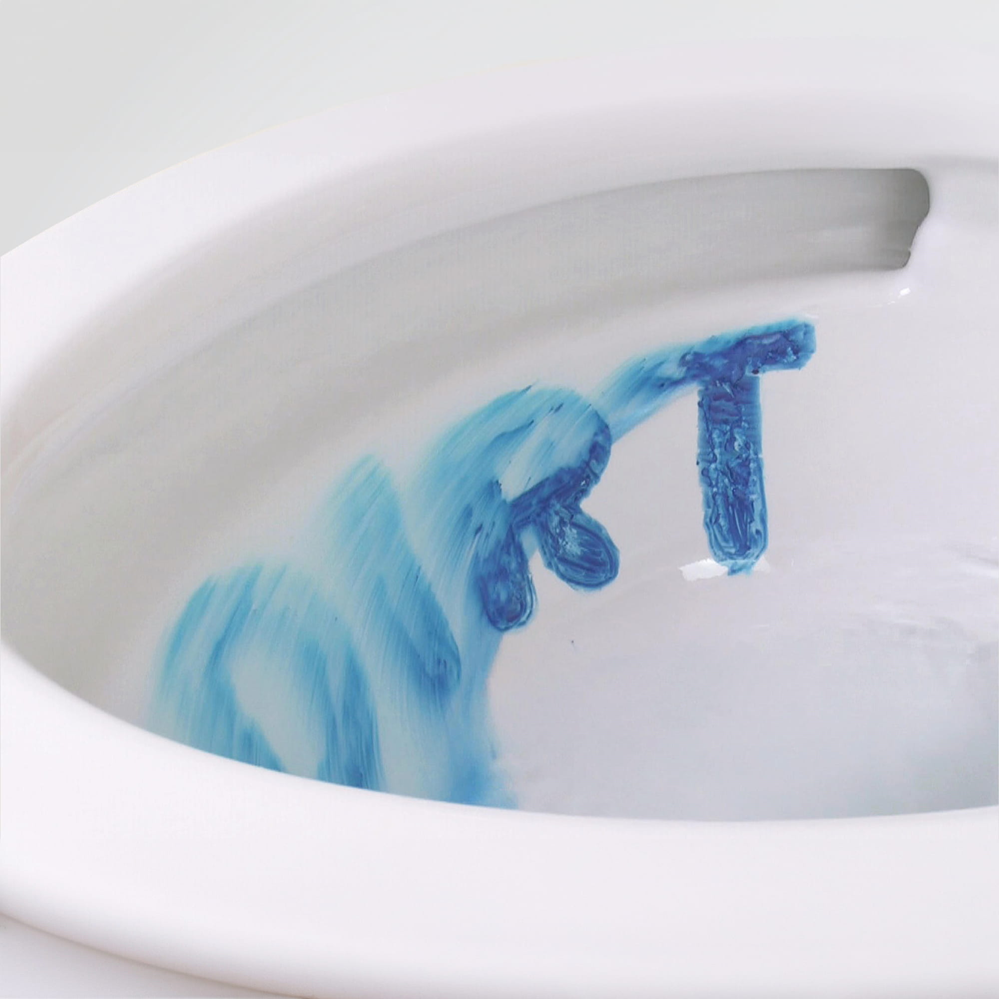 vormax toilet