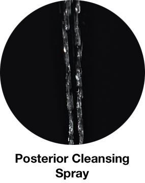 psterior cleansing spray