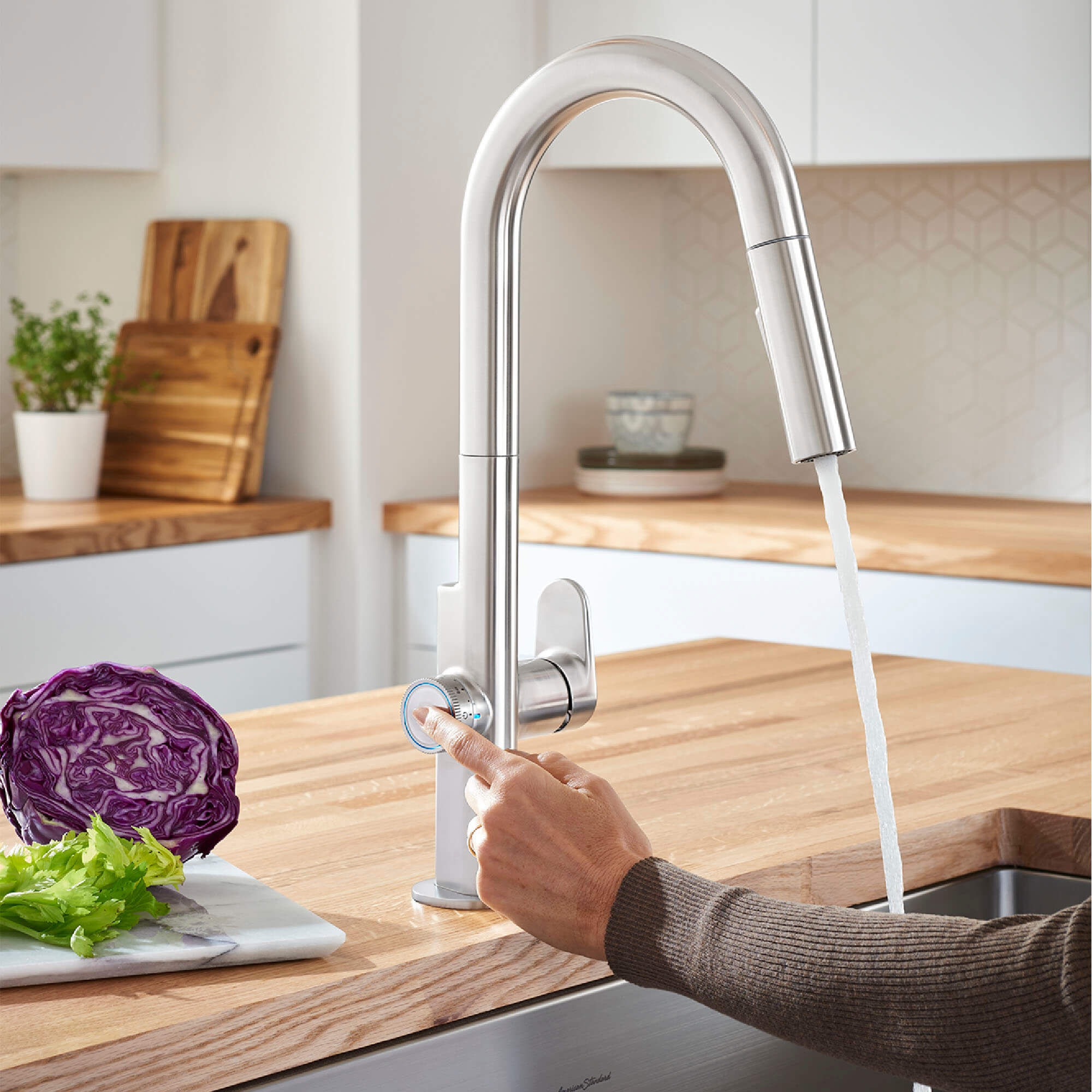 Beale Measure Fill Kitchen Faucet