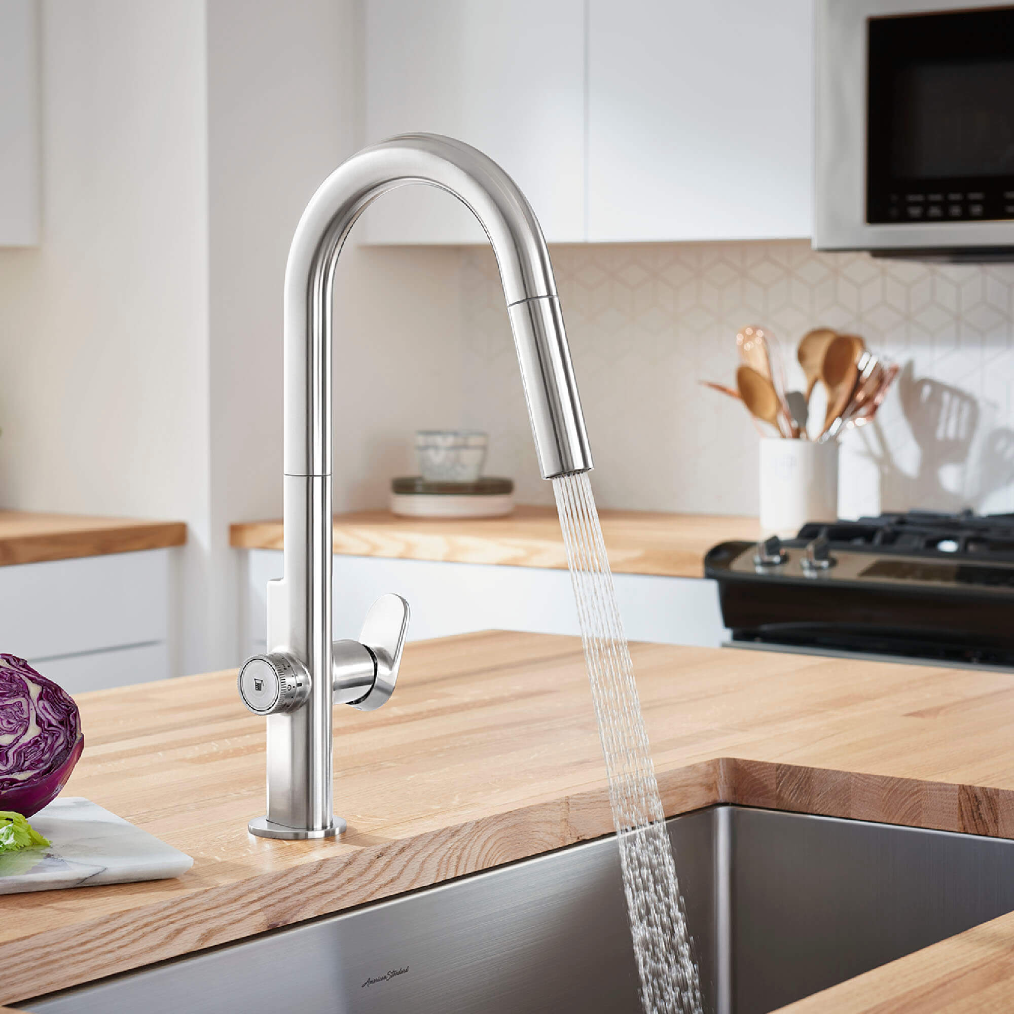 Beale Measure Fill Kitchen Faucet