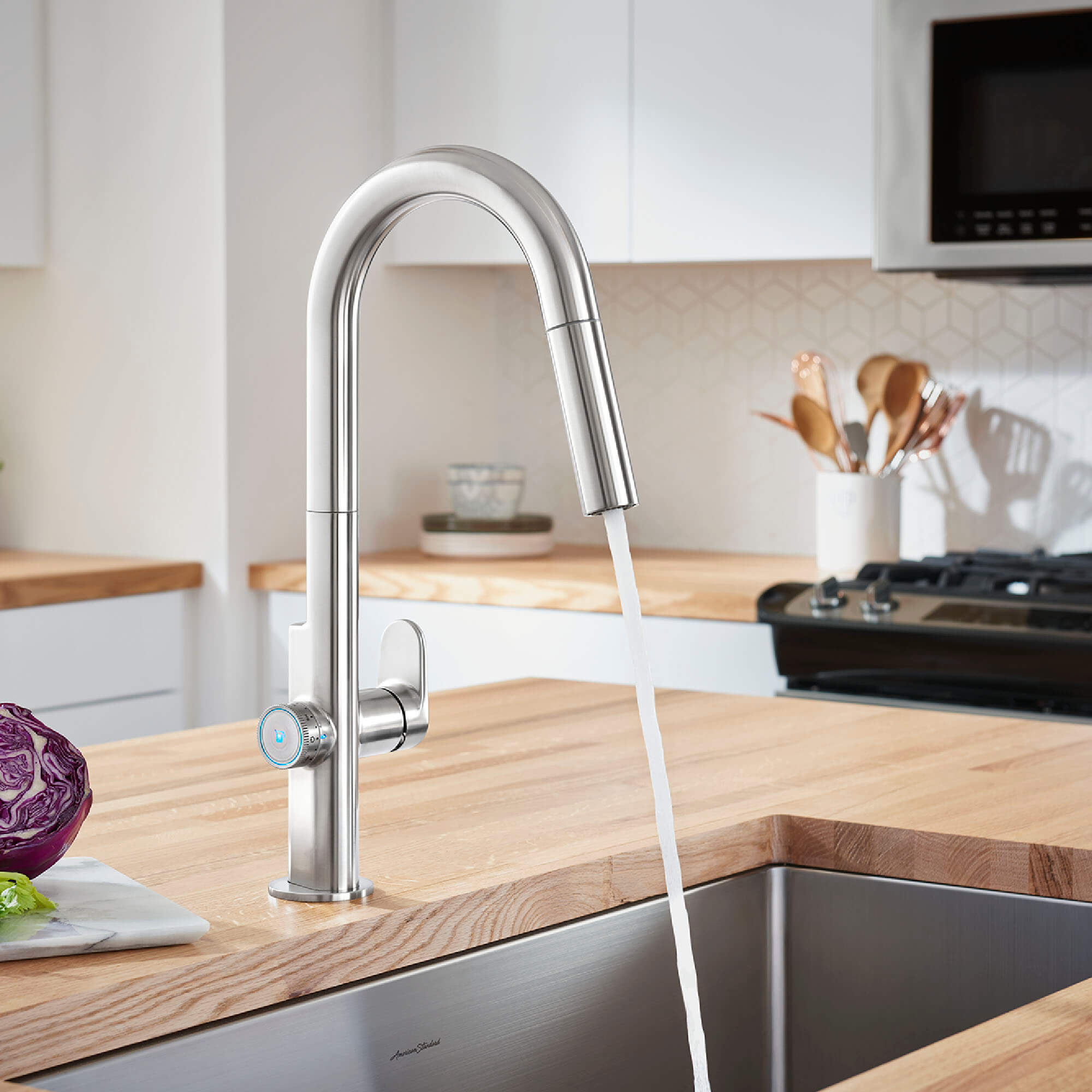 Kitchen Faucets Touchless, Filtered, Mounted, and More