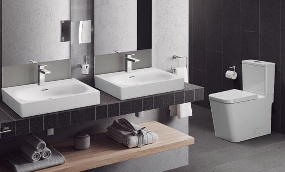 Bathroom Faucets, Showers, Toilets and Accessories