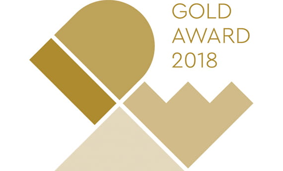 2018 gold award